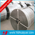 Heat Resistant, Good Quality Ep/Nn Conveyor Belt for Heat Condition